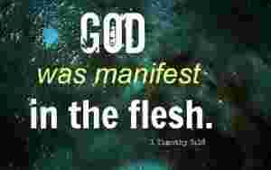 The word became flesh means Jesus is God