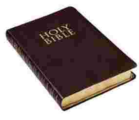 HOLY BIBLE ( MANY TRANSLATIONS)